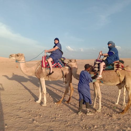 WhatsApp Image 2025-02-19 at 18.46.32