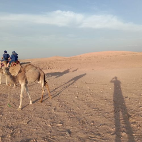 WhatsApp Image 2025-02-19 at 18.46.33 (1)