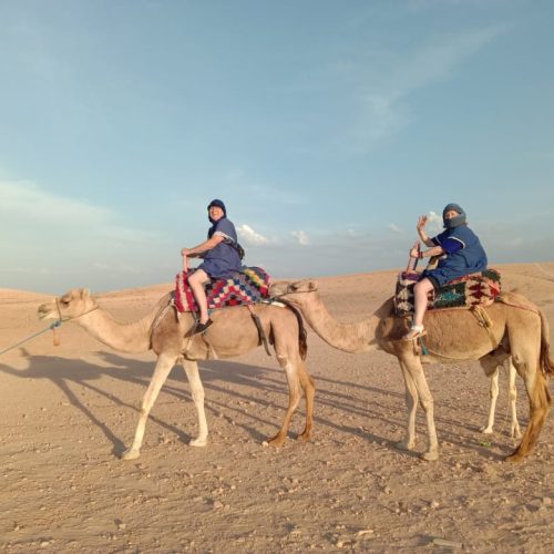 WhatsApp Image 2025-02-19 at 18.46.33