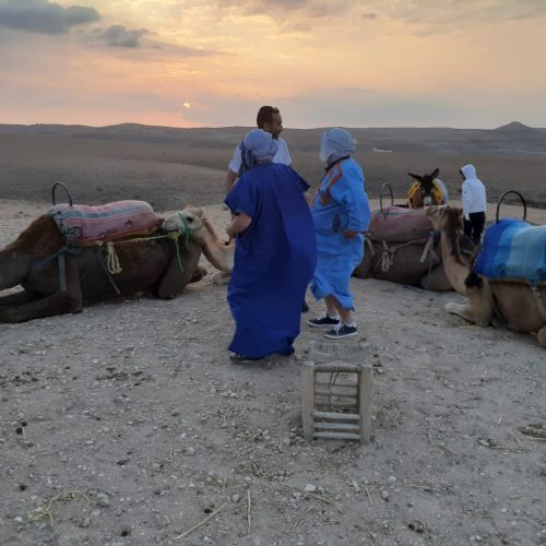 WhatsApp Image 2025-02-19 at 18.49.05 (6)